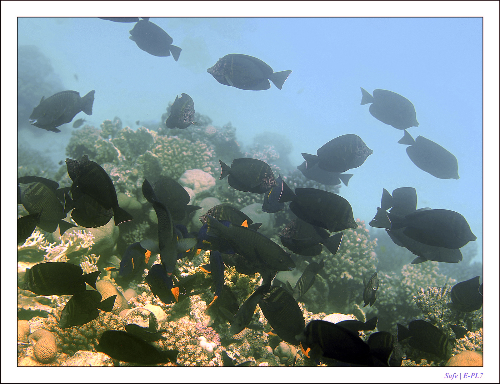 Hurghada - Juillet 2021 - 058